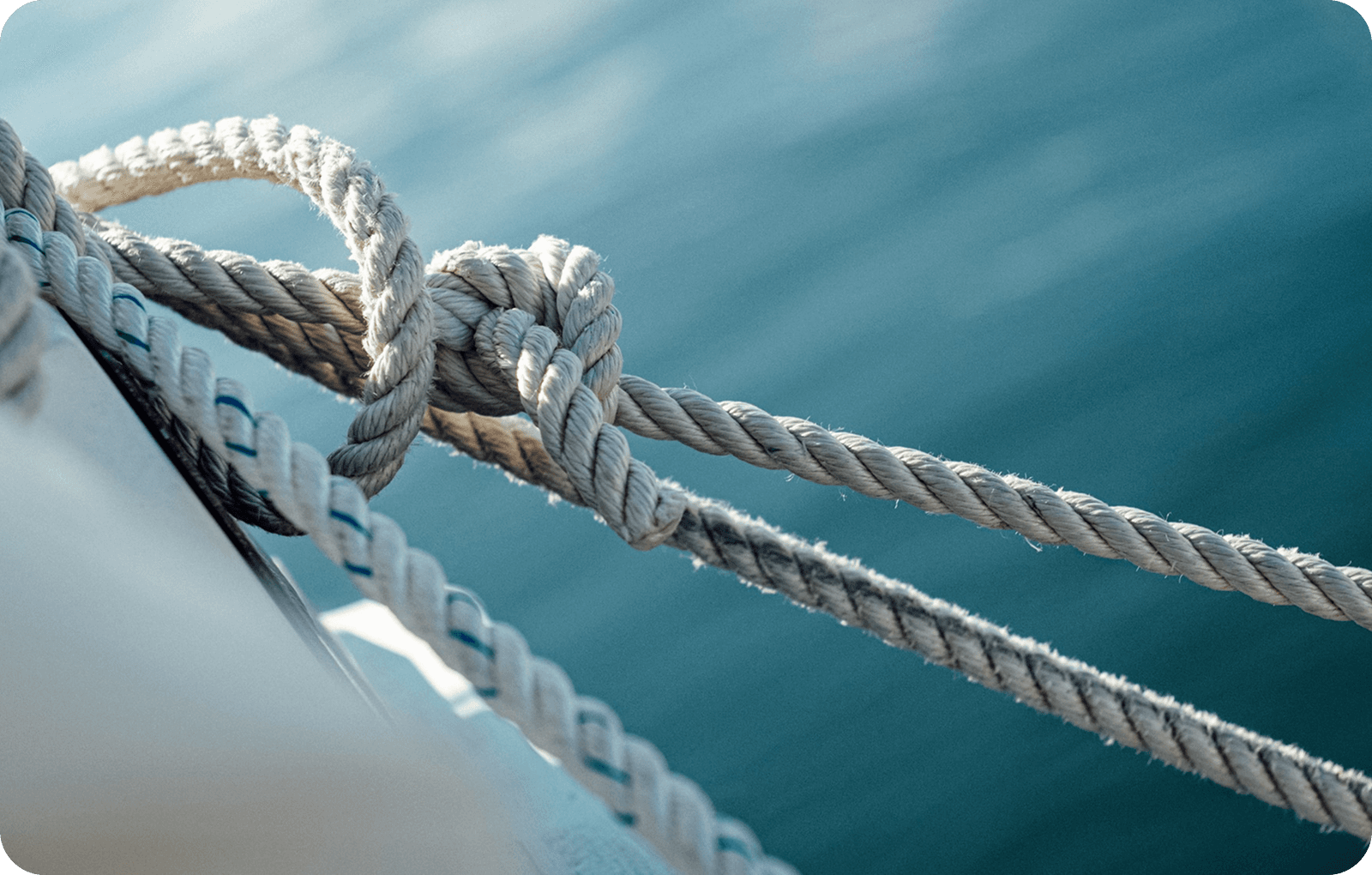 Training & Crew Assessment Hub